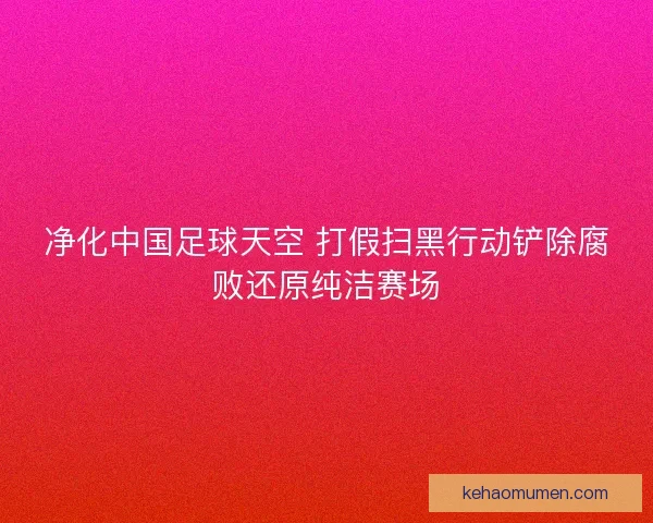 净化中国足球天空 打假扫黑行动铲除腐败还原纯洁赛场 净化中国足球天空 打假扫黑行动铲除腐败还原纯洁赛场